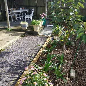  Guest house Spring